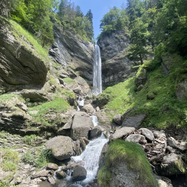 Wasserfall Berschnerbach stürzt über Felsen und Grün. Malerische Naturlandschaft in den Bergen.