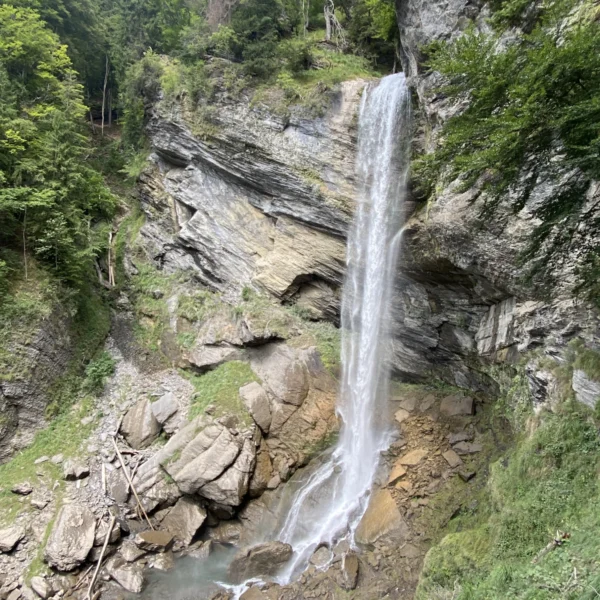 Wasserfall Berschnerbach stürzt über Felsen, umgeben von üppigem Grün.
