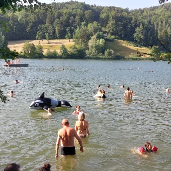 Bichelsee bei Bichelsee TG