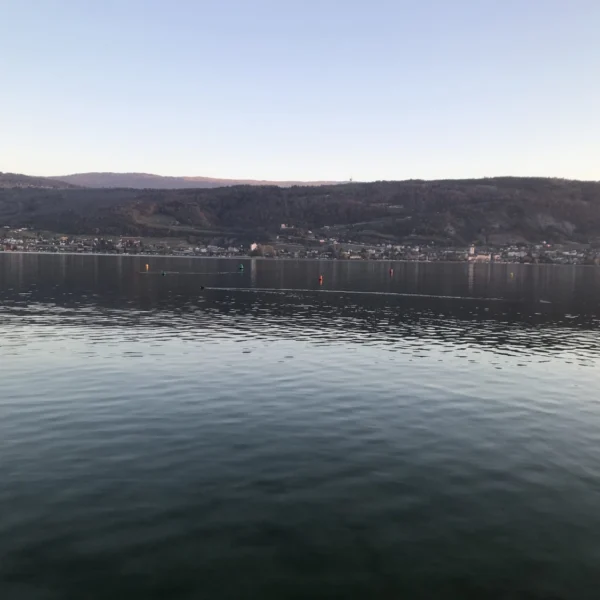 Ein ruhiger See mit sanften Wellen spiegelt unter einem klaren Himmel ferne Hügel und eine kleine Stadt am Ufer wider; Bojen schwimmen auf dem Wasser und die Szene ist friedlich im sanften natürlichen Licht.