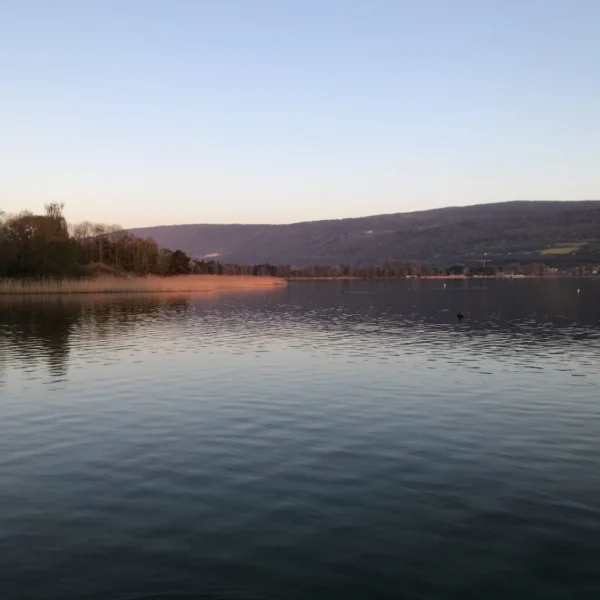 Ein ruhiger See bei Sonnenuntergang mit sanften Wellen, Bäumen und Schilf am Ufer und Hügeln im Hintergrund unter klarem Himmel. Warmes Sonnenlicht taucht einen Teil des Ufers in ein sanftes Licht.