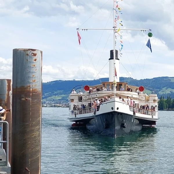 Bodensee-Dampfer legt an einem Steg mit Zuschauern an. Berge im Hintergrund.