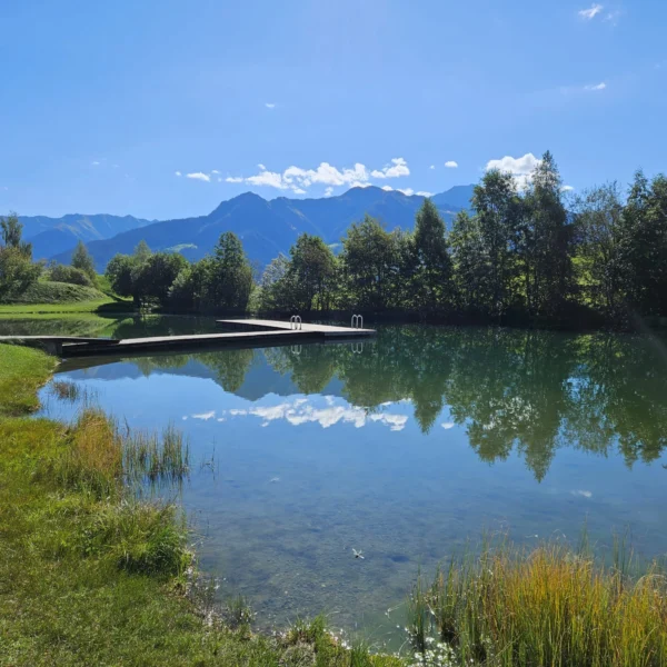 Ein ruhiger Teich spiegelt Bäume und ferne Berge unter einem klaren blauen Himmel wider. Ein Holzsteg und eine Metallleiter ragen über das Wasser. Grasbewachsene Ufer und Schilf umgeben die ruhige Szene.