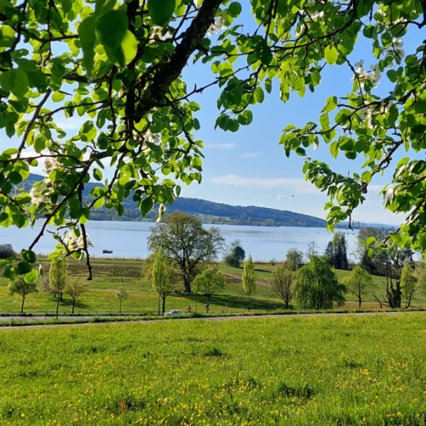 Greifensee vom Bergli bei Riedikon aus