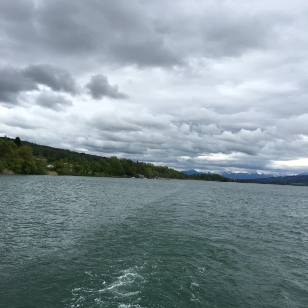 Eine große Wasserfläche mit sanften Wellen, links von grünen Bäumen gesäumt. Der Himmel über dem Hallwilersee in der Schweiz ist mit dicken, grauen Wolken bedeckt, die eine trübe und stimmungsvolle Atmosphäre schaffen.