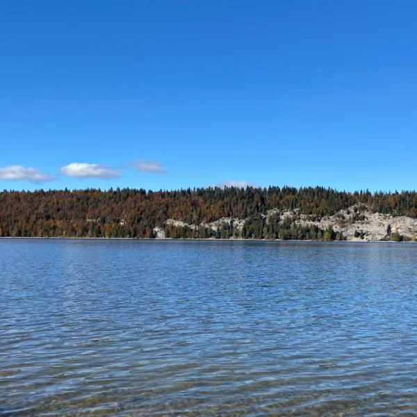 Ein ruhiger See mit klarem Wasser im Vordergrund, ein bewaldetes Ufer mit Bäumen in Herbstfarben und ein felsiges Gebiet auf der rechten Seite unter einem klaren blauen Himmel mit ein paar vereinzelten Wolken.