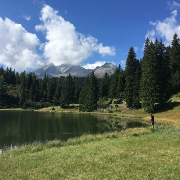 Eine Person steht am Rand eines ruhigen Sees, umgeben von Gras und hohen Kiefern, im Hintergrund sind Berge in der Ferne und ein blauer Himmel mit Wolken zu sehen.