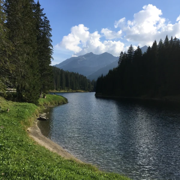 Ein ruhiger See, der Lago d'Isola, ist von hohen Kiefern und grasbewachsenen Ufern gesäumt, in der Ferne ist unter einem blauen Himmel mit vereinzelten Wolken ein Berg zu sehen.