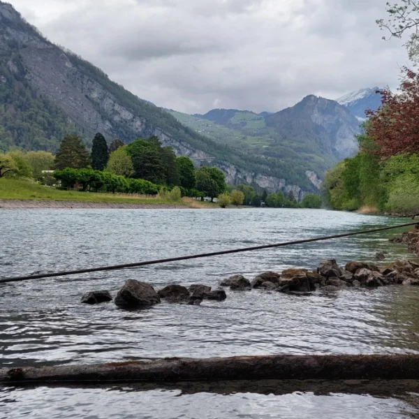 Ein ruhiger Fluss fließt durch ein üppig grünes Tal mit Bergen im Hintergrund, Häusern am linken Ufer und überhängenden Ästen und Felsen entlang der Wasserkante unter einem bewölkten Himmel.