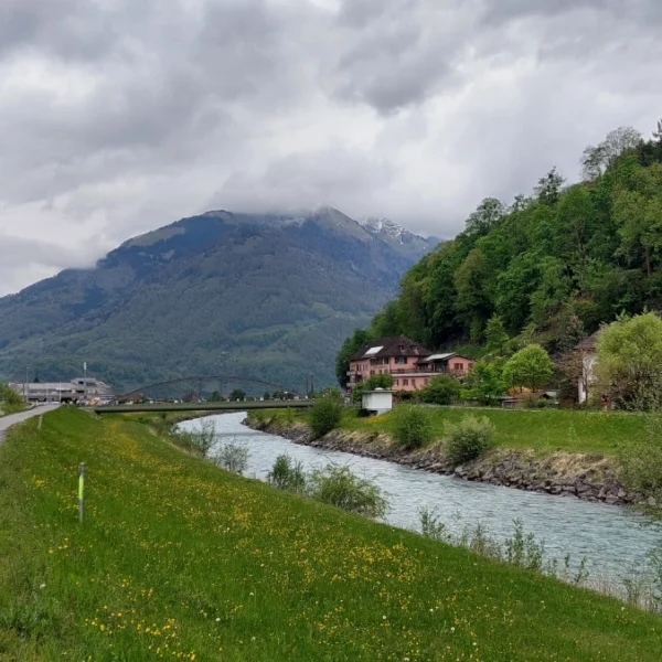 Ein Schotterweg verläuft entlang eines schmalen Flusses mit grünem Gras und gelben Wildblumen am Ufer. Häuser und Bäume säumen die gegenüberliegende Seite, und im Hintergrund erheben sich neblige Berge unter einem wolkigen Himmel.