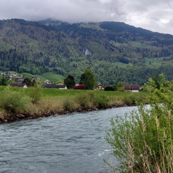 Ein Fluss fließt durch eine Grasfläche mit Häusern und Bäumen auf beiden Seiten, eingebettet am Fuße grüner, bewaldeter Berge unter einem bewölkten Himmel.