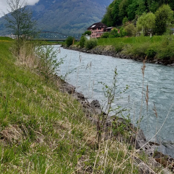 Ein Fluss fließt an grasbewachsenen Ufern mit Wildpflanzen, einem bewaldeten Hügel und einem Haus mit rotem Dach vorbei. Im Hintergrund bedeckt der bewölkte Himmel teilweise einen Berggipfel.