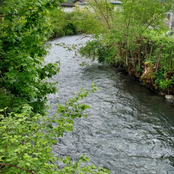 Ein sanft fließender Fluss, umgeben von üppigen grünen Bäumen und Büschen, mit Hügeln und einem bewölkten Himmel im Hintergrund.