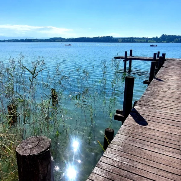 Pfäffikersee bei Pfäffikon