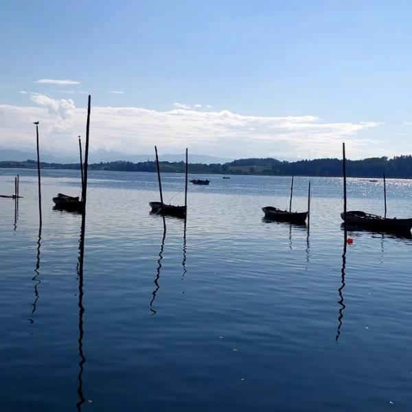 Pfäffikersee bei Pfäffikon ZH