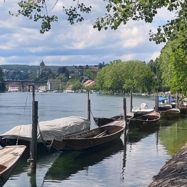 Rhein beim Lindli in Schaffhausen