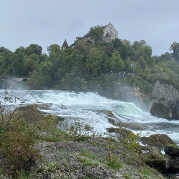 Rheinfall bei Neuhausen