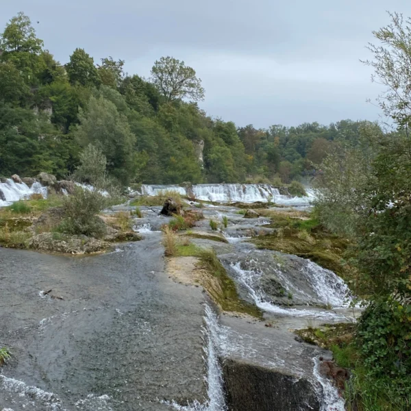 Rheinfall bei Neuhausen