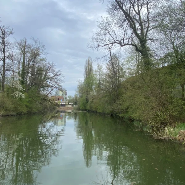 An einem bewölkten Tag fließt ein ruhiger Fluss zwischen grasbewachsenen Ufern und dichten Bäumen in der Nähe von Schönau-Weiher. In der Ferne sind ein kleines Gebäude und eine Brücke zu sehen. Das Wasser spiegelt das Grün und den bedeckten Himmel.