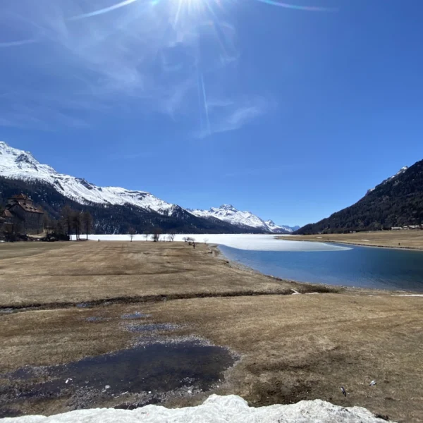 Eine sonnenbeschienene Landschaft mit schneebedeckten Bergen, dem teilweise zugefrorenen Silvaplanersee und einer Graswiese im Vordergrund unter einem klaren blauen Himmel.