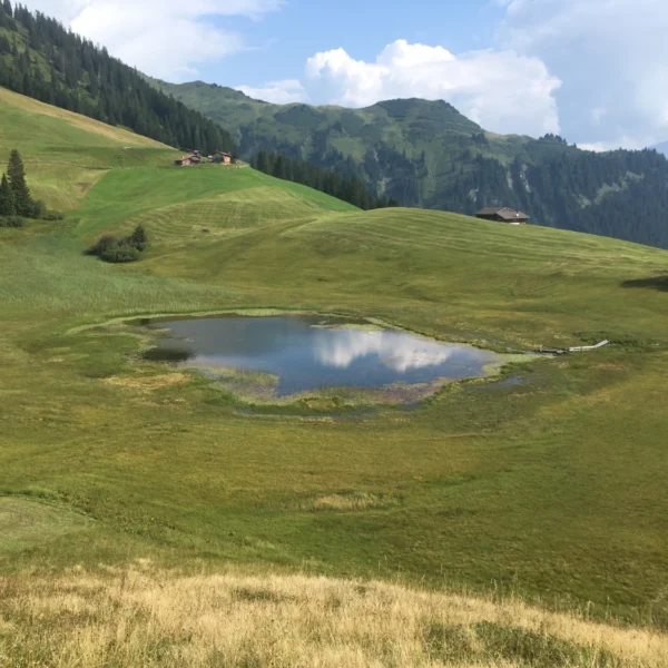 Ein kleiner Teich spiegelt Wolken in einem grasbewachsenen grünen Tal wider, umgeben von sanften Hügeln und fernen, mit Kiefern bewachsenen Bergen unter einem teilweise bewölkten Himmel. An den Hängen sind einige Häuser zu sehen.