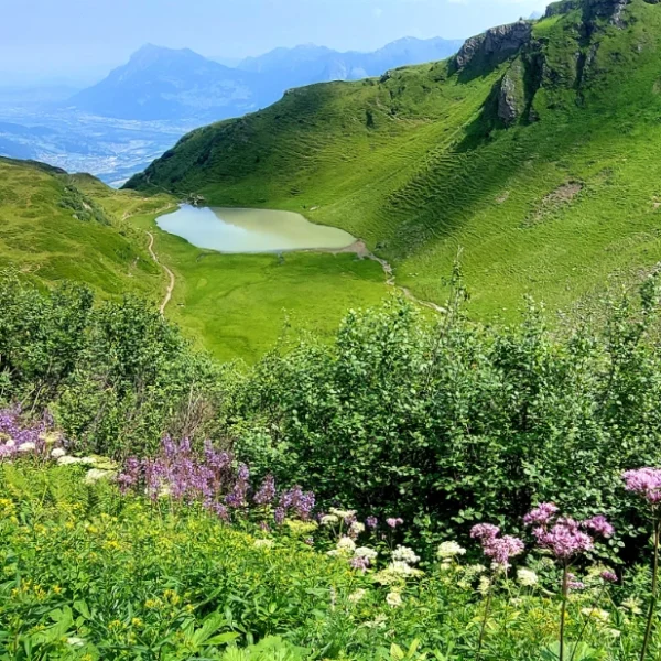 Vilterser Seeli bei Wangs SG