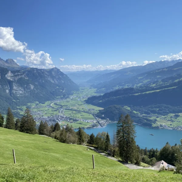 Ein malerischer Blick auf ein grünes Tal mit einem blauen See, umgeben von Bergen unter einem klaren Himmel mit weißen Wolken. Im Vordergrund sind Bäume und einige Häuser am Hang zu sehen.