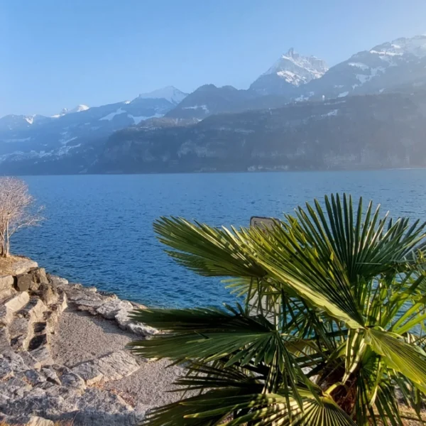 Walensee beim Restaurant Lago Mio bei Weesen