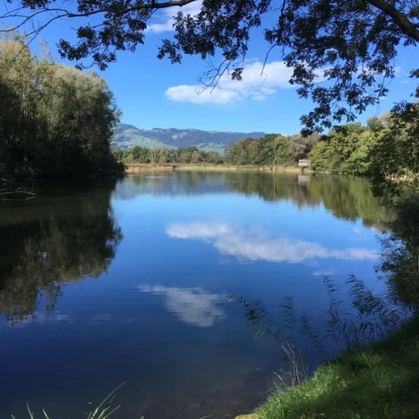 Ein ruhiger See, der Wichenstein Weiher, umgeben von Bäumen, spiegelt einen blauen Himmel mit vereinzelten weißen Wolken wider. Grünes Gras und belaubte Zweige rahmen die Szene im Vordergrund ein, während ferne Hügel den friedlichen Anblick vervollständigen.