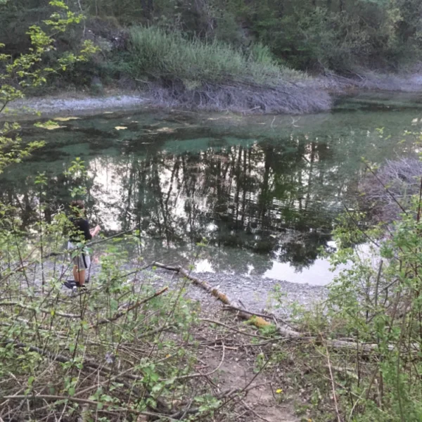 Ein ruhiger Fluss am Zizerser Weiher spiegelt Bäume und Himmel wider, gesäumt von dichtem Grün und Unterholz. Am linken Ufer, nahe der Wasserkante, ist eine Angelrute teilweise sichtbar.