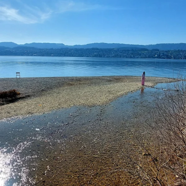 Zürichsee in Küsnacht mit Mündung Dorfbach