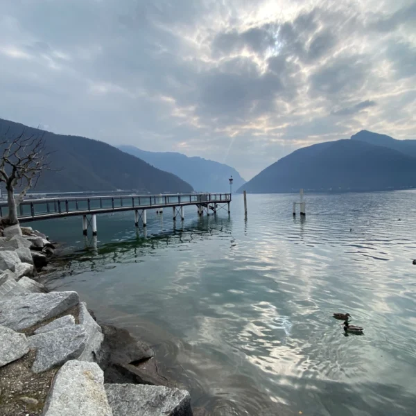 Luganersee mit Steg, Bergen und Enten unter bewölktem Himmel. Lago di Lugano.