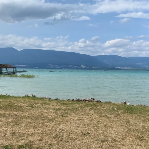 beim Place de Tir de Forel