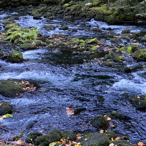 südlich von Vallorbe