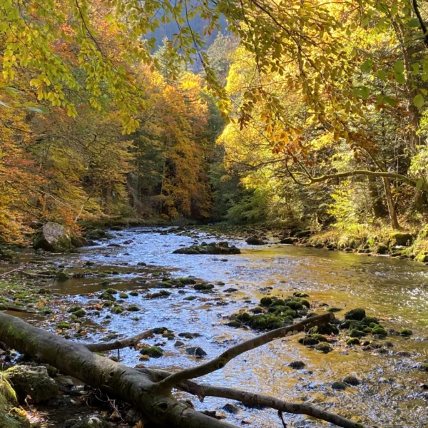 südlich von Vallorbe