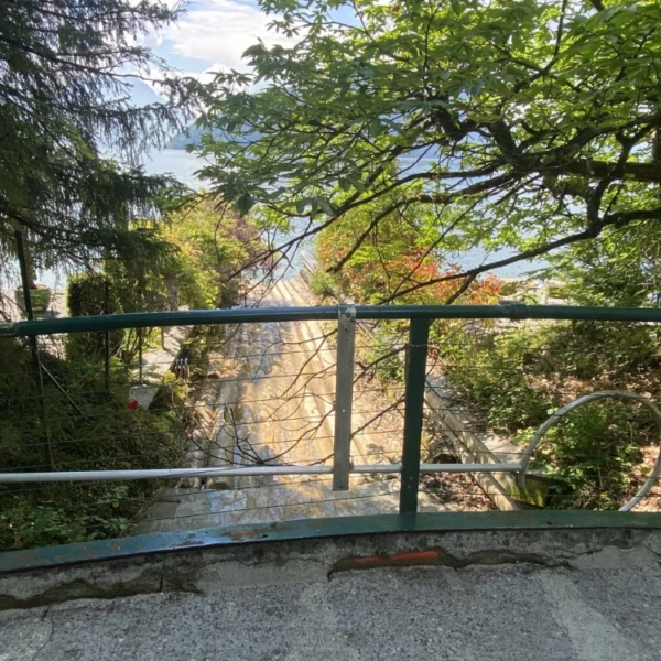 Ein Blick hinter einem grünen Metallgeländer auf einen von Grün gesäumten Steinweg, der zu einem Gewässer führt, das an einem sonnigen Tag teilweise durch die Bäume sichtbar ist.