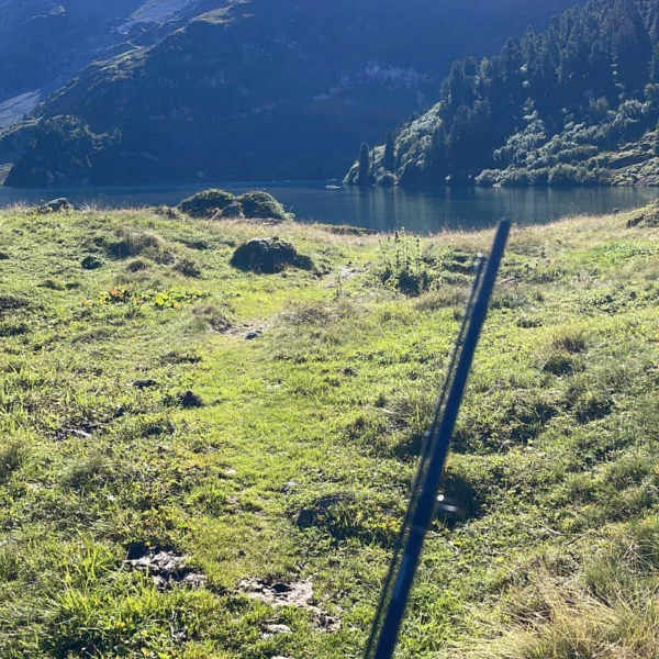 Eine sonnenbeschienene Wiese führt zu einem ruhigen See, umgeben von Kiefern und hohen, schroffen Bergen im Hintergrund unter einem klaren blauen Himmel. Im Vordergrund ist ein schwarzer Spazierstock zu sehen.