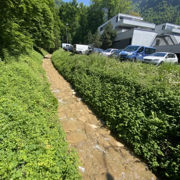 Ein schmaler, flacher Bach fließt zwischen üppigen grünen Büschen hindurch, im Hintergrund sind moderne weiße Gebäude und geparkte Autos zu sehen, umgeben von hohen Bäumen und in der Ferne bewaldeten Bergen unter einem blauen Himmel.