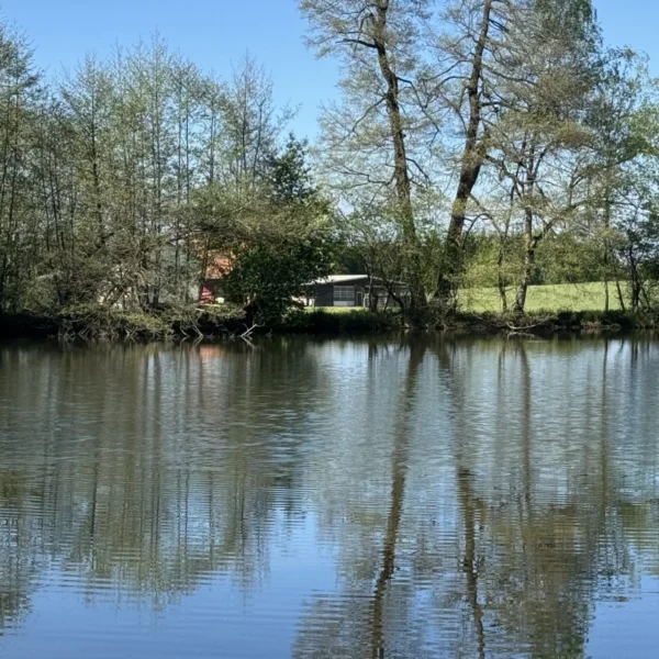 In einem ruhigen Teich am Niederwiler Weiher spiegeln sich hohe Bäume und ein kleines Haus mit rotem Dach. Der klare blaue Himmel, das sattgrüne Gras in der Nähe des Hauses und die Bäume am Ufer schaffen eine friedliche Szenerie.