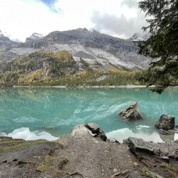 Ein türkisfarbener Oeschinensee mit großen Felsen am Ufer, umgeben von bewaldeten Schweizer Alpen mit gelben Laub- und Schneeflecken unter einem bewölkten Himmel. Auf der rechten Bildseite ist ein Ast zu sehen.