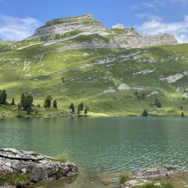 Der Oeschinensee, ein ruhiger Schweizer See mit klarem, grünem Wasser, ist umgeben von grasbewachsenen Hügeln und schroffen Klippen unter strahlend blauem Himmel. Kiefern säumen das Ufer, und ein großer Felsen ruht am Rand – ein perfekter Ort zum Wandern und Entspannen.