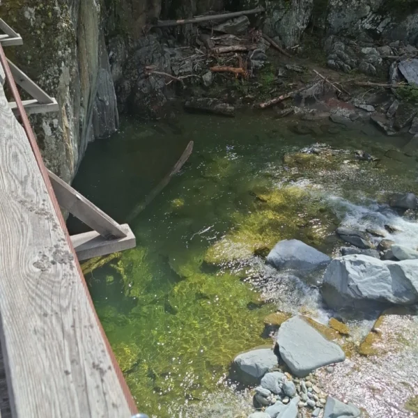 Eine Holzbrücke überblickt das klare, grünliche Wasser des Averser Rheins. Felsen, Treibholz und moosbewachsene Felswände sind von dichtem Wald umgeben. Sonnenlicht fällt durch die Bäume und erhellt diese ruhige Szenerie.