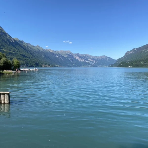Ein ruhiger, klarer, blauer See, umgeben von grünen Bergen unter einem strahlend blauen Himmel. Eine kleine Holzbarriere befindet sich im Wasser, Bäume säumen das Ufer, in der Ferne sind Menschen zu sehen.