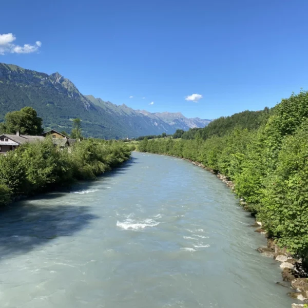 Ein breiter, schnell fließender Fluss, gesäumt von üppigen grünen Bäumen und Büschen, mit Häusern auf der linken Seite und hohen Bergen unter einem klaren blauen Himmel im Hintergrund.