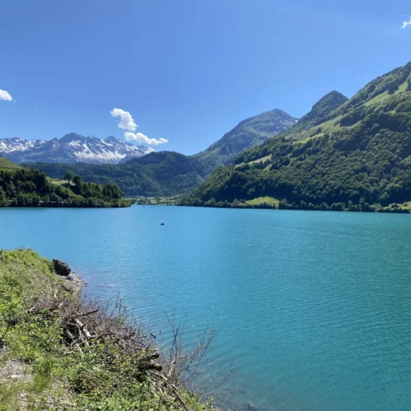 Ein strahlend blauer See, umgeben von grünen Hügeln und schneebedeckten Bergen unter einem klaren, sonnigen Himmel. Im Vordergrund entlang des Ufers sind einige Pflanzen und Felsen zu sehen.