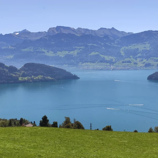 Der Vierwaldstättersee, ein klarer, blauer See, ist umgeben von üppig grünen Hügeln und hohen Bergen unter einem hellen, wolkenlosen Himmel, und die Boote hinterlassen weiße Spuren auf dem Wasser.
