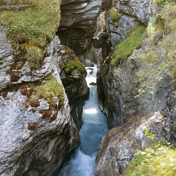 Eine enge, felsige Schlucht, durch die türkisfarbenes Wasser rauscht, umgeben von moosbewachsenen Felsen und grüner Vegetation im Sonnenlicht.