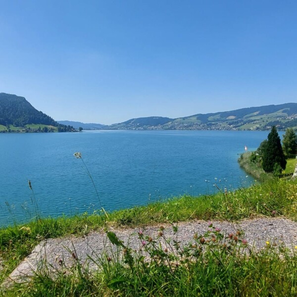 Ein malerischer See mit klarem, blauem Wasser, umgeben von grünen Hügeln und Bergen, ein paar Häuser am Ufer und ein grasbewachsener Vordergrund mit Wildblumen und Steinstufen unter einem klaren, sonnigen Himmel.