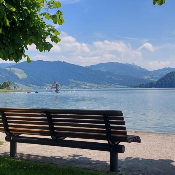 Eine Holzbank steht auf einem gepflasterten Weg an einem ruhigen See, dessen Äste Schatten spenden. Im Hintergrund erheben sich grüne Hügel und bewaldete Berge unter einem teilweise bewölkten blauen Himmel.
