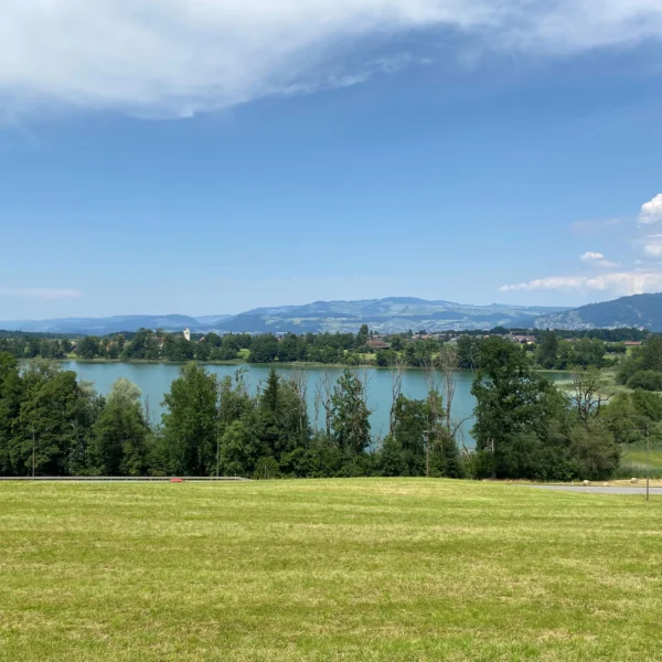 Ein grasbewachsenes Feld im Vordergrund führt zum Amsoldingersee, einem von Bäumen gesäumten See, mit Bergen und Hügeln im Hintergrund unter einem teilweise bewölkten blauen Himmel.